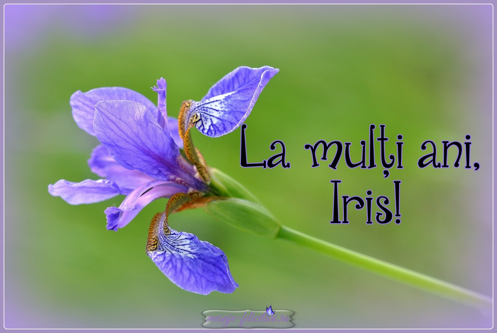 La multi ani, Iris!