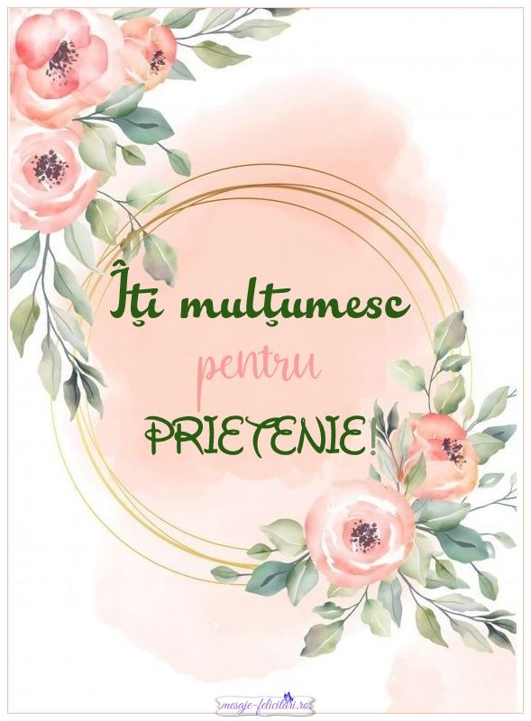 Multumesc pentru prietenie!